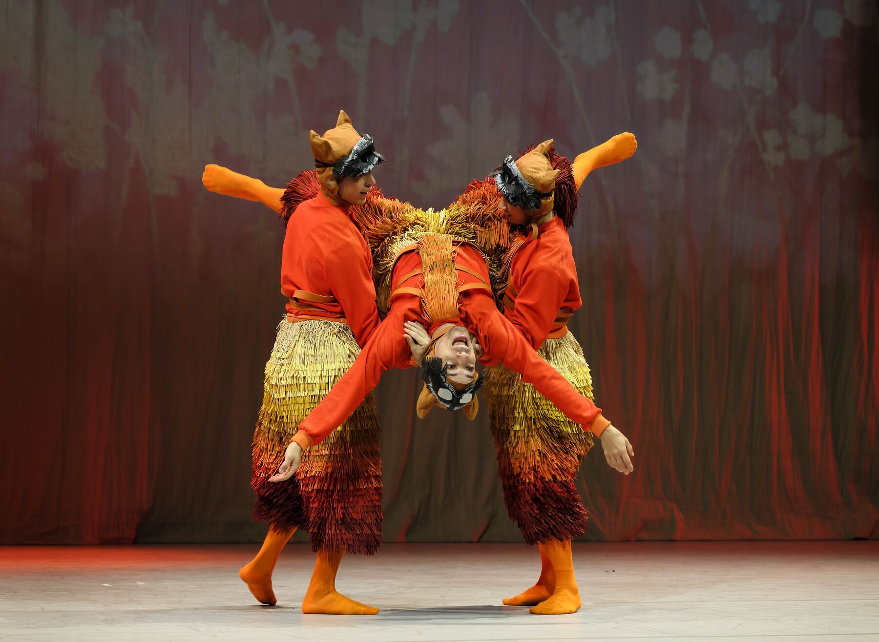 Drei Männer im orangenen Waschbärenkostümen stehen beieinander. Zwei von ihnen halten den dritten in der Luft über Kopf während er Arme und Füße von sich streckt.