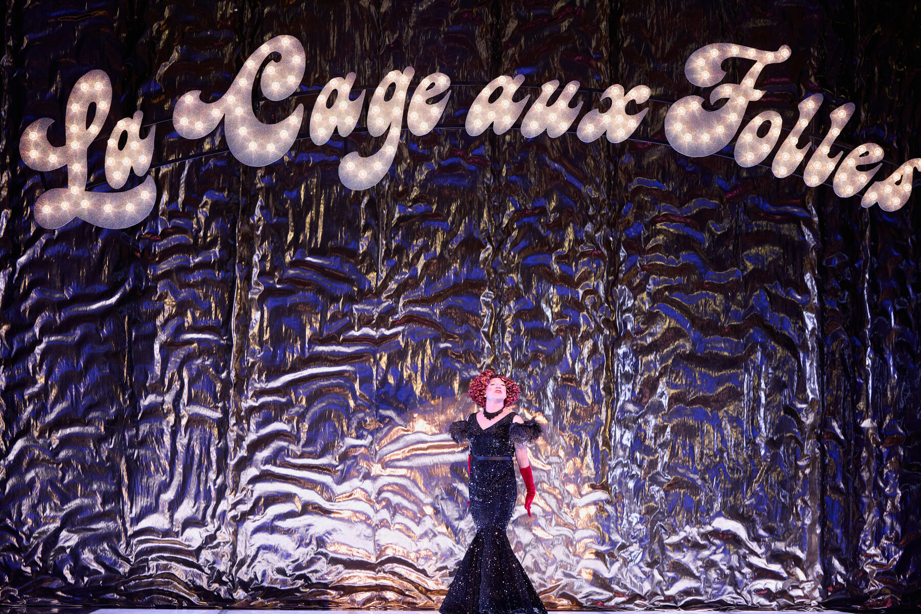 Albin singt vor einem silbernen Hintergrund über dem der Schriftzug La Cage aux Folles zu sehen ist. Er trägt eine Perücke und ein langes Abendkleid.