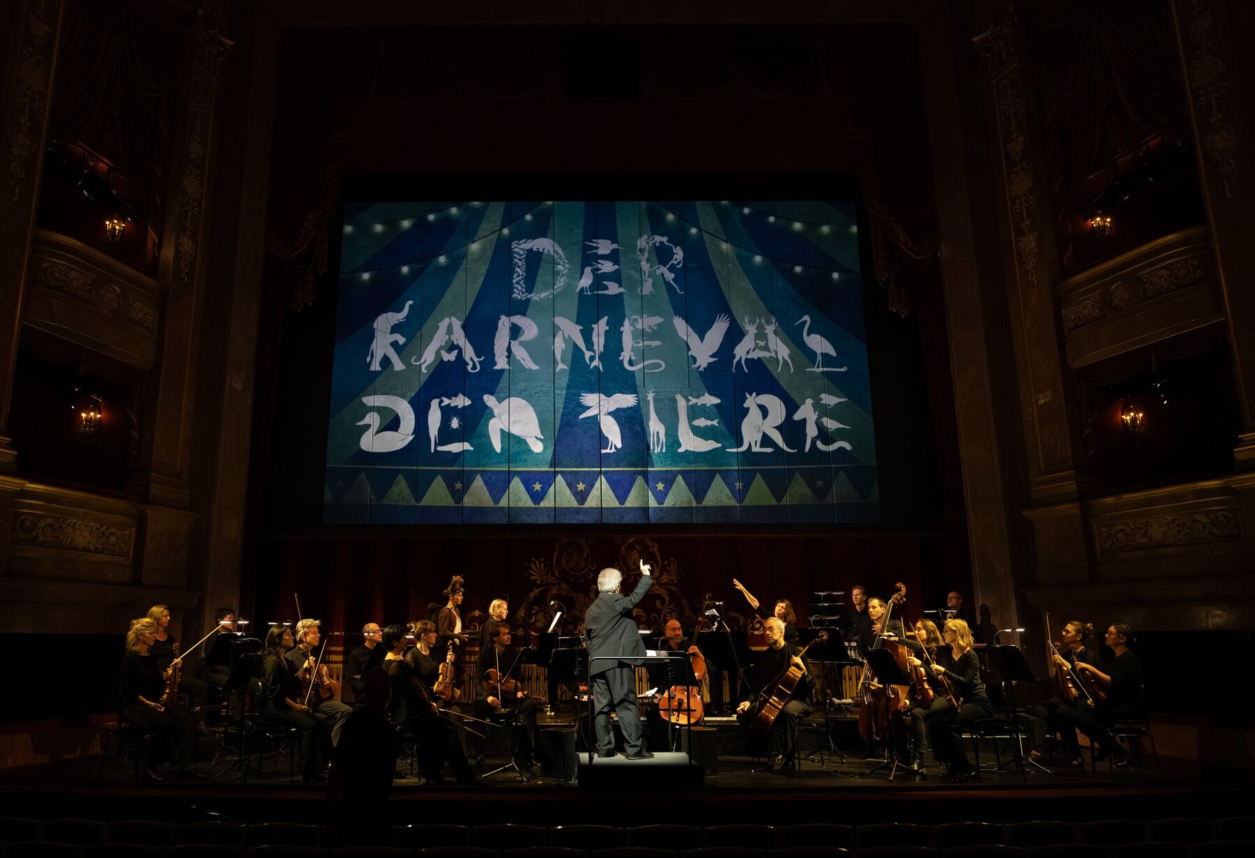 DER KARNEVAL DER TIERE