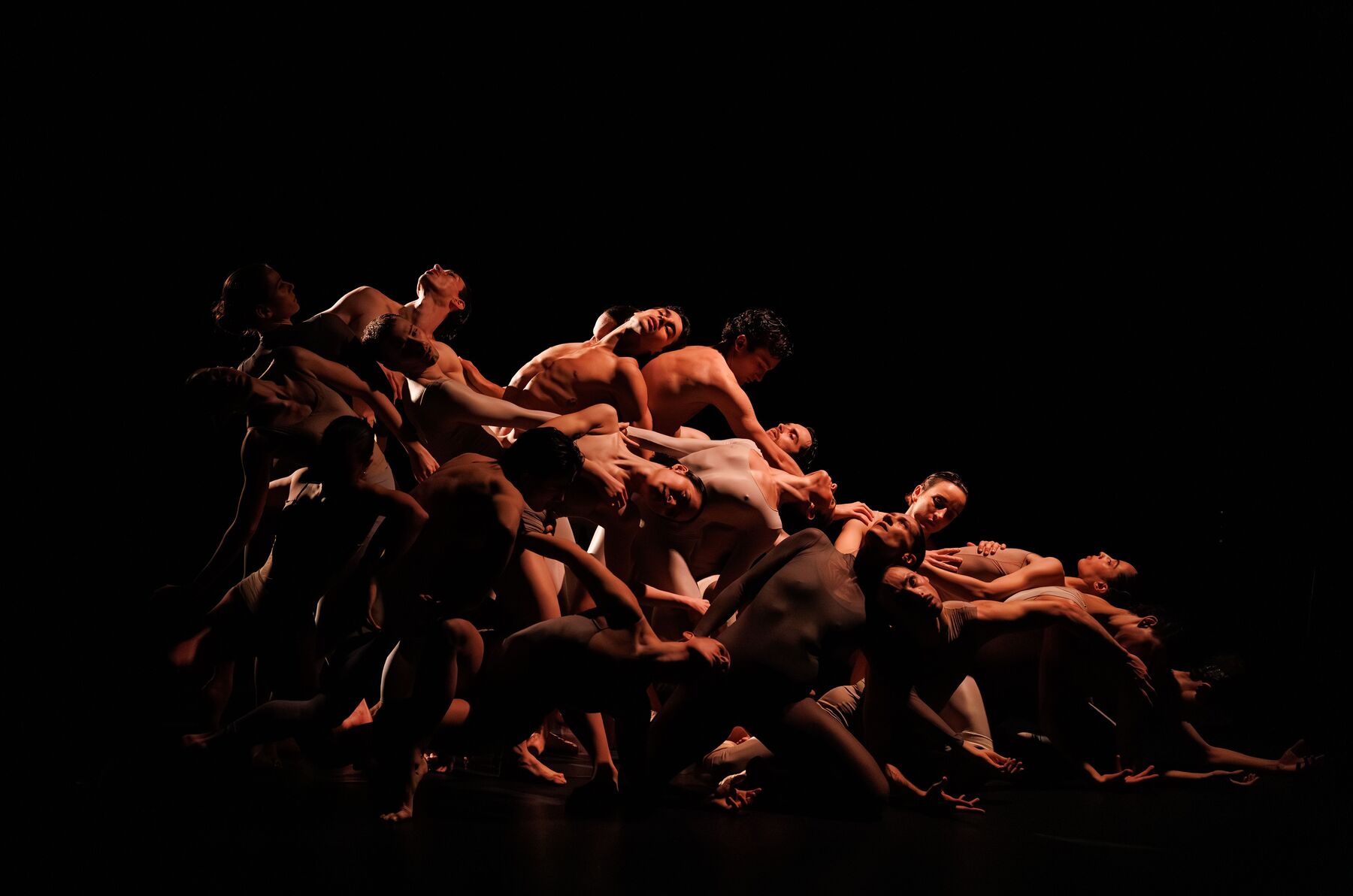 Several dancers, some wearing gray dance clothes and others bare-chested, are standing together in a group. From left to right, the dancers are crouching lower and lower, and some are already kneeling or lying down.