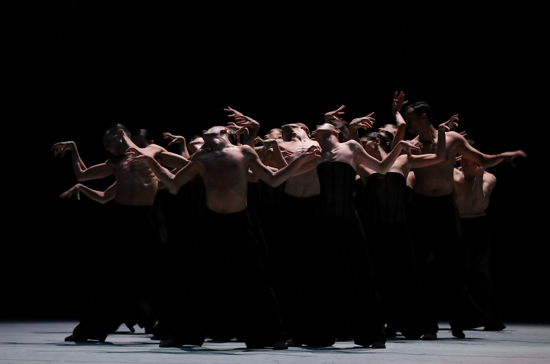 Eine Gruppe von Balletttänzern mit nacktem Oberkörper und Tänzerinnen mit schwarzem Korsett in dunklen Hosen, die in einer dynamischen, synchronisierten Bewegung auf einer dunklen Bühne tanzen. Ihre Arme sind erhoben und ihre Körper leicht gebeugt, sie lassen ihre Köpfe nach hinten fallen. Ihre Hände sind klauenähnlich angespannt.